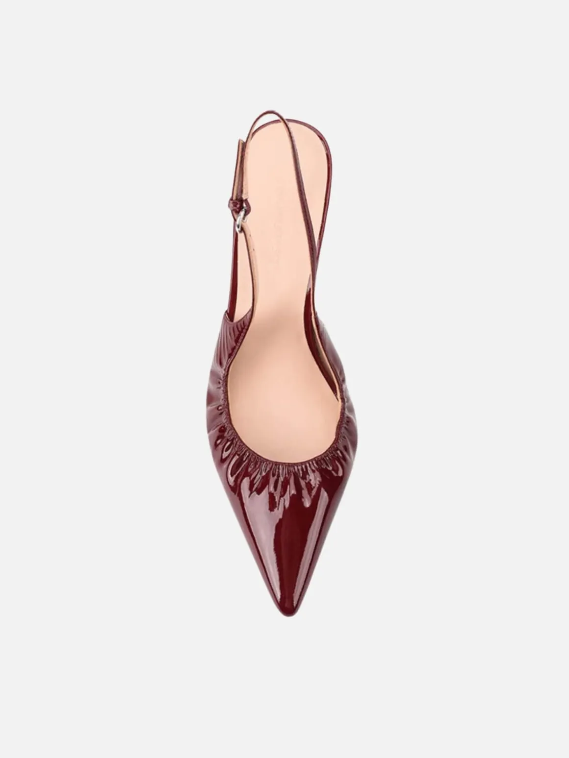 Charlotte - Wine